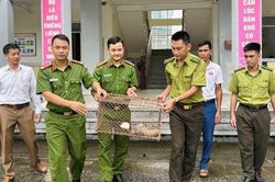 Đưa c&aacute;c lo&agrave;i động vật nguy cấp, qu&yacute; hiếm trở về rừng s&acirc;u