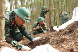 'Tọa độ Câu Nhi' và câu chuyện hơn nửa thế kỷ tìm tên cho người lính
