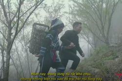Đi trong sương