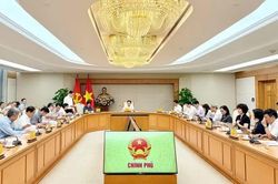 Nâng cao tính tự chủ của cơ sở giáo dục đại học, giáo dục nghề nghiệp