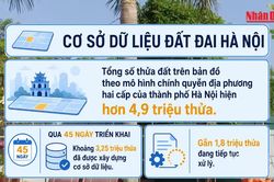 [Video] Hà Nội hoàn thành cơ sở dữ liệu khoảng 3,25 triệu thửa đất