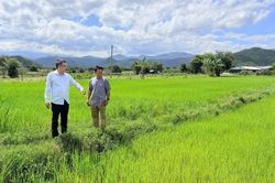 Sức sống mới trên miền cao nguyên