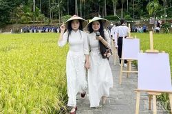 Hội làng Lộc Yên - Thạnh Bình khai hội với nhiều hoạt động đặc sắc