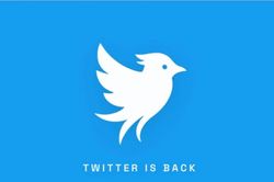 Twitter mới t&aacute;i xuất sau khi bị Elon Musk từ bỏ