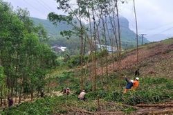 Lịch c&uacute;p điện Th&agrave;nh phố Huế h&ocirc;m nay ng&agrave;y 30/8/2026