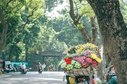 Dự báo thời tiết ngày 30/8: Bắc Bộ ngày nắng, đêm mưa dông