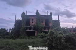 Đồng Nai cảnh báo tình trạng đầu cơ, làm giá nhà đất đón quy hoạch