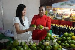 Thêm cơ hội cho sản phẩm OCOP tiếp cận các kênh phân phối