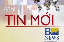 Bắc Ninh làm rõ thông tin công trình cống 'bên trong đầy xốp'
