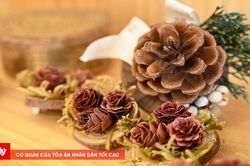 Khi những món quà từ rừng trở thành tác phẩm nghệ thuật