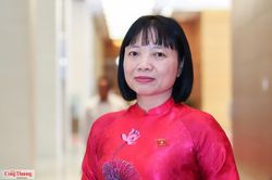 Hệ sinh th&aacute;i startup: Nền m&oacute;ng của đổi mới s&aacute;ng tạo quốc gia