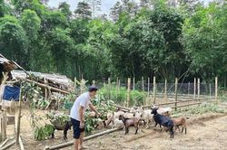 Đổi thay từ những mô hình kinh tế ở Mường Mìn