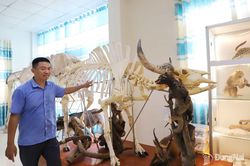 Khám phá “kho báu” đa dạng sinh học ở thành phố công nghiệp