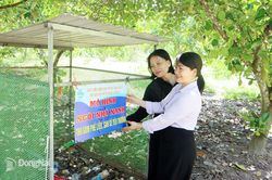 Mỗi địa phương một mô hình an sinh xã hội
