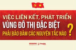 [Infographic] Việc liên kết, phát triển vùng đô thị đặc biệt phải bảo đảm các nguyên tắc nào?