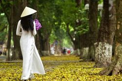 Thu về, nhớ ng&agrave;y xưa..!