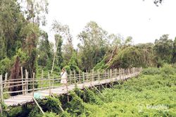 Ðiểm khám phá hấp dẫn bậc nhất Việt Nam mùa nước nổi