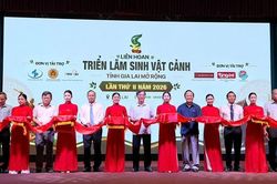 Khai mạc Li&ecirc;n hoan, Triển l&atilde;m, Hội thi Sinh vật cảnh tỉnh Gia Lai mở rộng lần thứ II - 2026