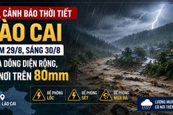 Cảnh báo thời tiết Lào Cai đêm 29/8, sáng 30/8: Mưa dông diện rộng, có nơi trên 80mm, đề phòng lốc, sét, mưa đá