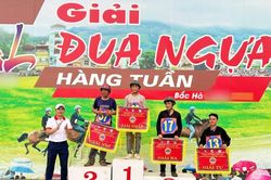 Hấp dẫn Vòng chung kết tháng 8 Giải đua ngựa hàng tuần
