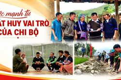 Sức mạnh từ phát huy vai trò của chi bộ