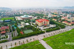 Rực rỡ sắc đỏ mừng Tết Độc lập tr&ecirc;n qu&ecirc; hương Cố đ&ocirc;