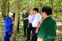 Từ quyết sách táo bạo... đến phát triển nông nghiệp xanh