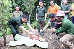 Hoành thành lấy mẫu giám định, xác định danh tính hài cốt liệt sĩ tại 7 nghĩa trang liệt sĩ