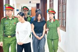 Nghiền thuốc tây trộn với đông y để 'chữa viêm khớp', 3 đối tượng ở Thanh Hoá bị khởi tố