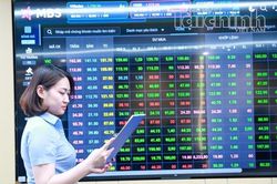 VN-Index bứt phá trong tháng 8, khối ngoại giảm mạnh bán ròng