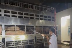 TP. Hồ Chí Minh: Tăng cường kiểm tra, giám sát dịch bệnh động vật và sử dụng chất cấm trong chăn nuôi