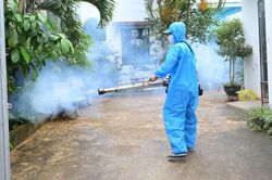 Số ca sốt xuất huyết tại Hà Nội đang gia tăng