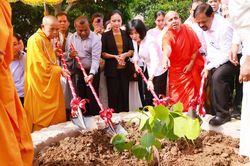 Cung nghinh và trồng cây Bồ đề thiêng tại chùa Vạn Phúc