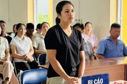 Xét xử lưu động 2 vụ án 'Đánh bạc' và 'Vi phạm quy định về khai thác, bảo vệ rừng' tại xã Bạch Đằng