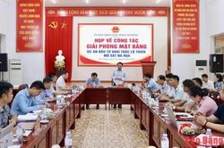 Phó Chủ tịch Thường trực UBND tỉnh Lương Tuấn Hùng chỉ đạo giải phóng mặt bằng Dự án mỏ sắt Nà Rụa