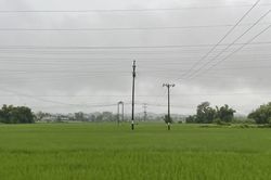 Thời tiết ngày 30/8 có mưa, mưa rào và dông, ngày trời nắng gián đoạn