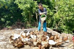 Người hội viên nông dân không để nghịch cảnh 'đóng cửa' tương lai