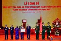 Thành phố Quảng Ninh đẩy nhanh quá trình chuyển đổi từ 'nâu' sang 'xanh'