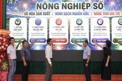 Dang Kang th&agrave;nh lập Hợp t&aacute;c x&atilde; N&ocirc;ng nghiệp số, đẩy mạnh m&atilde; số cho v&ugrave;ng trồng sầu ri&ecirc;ng