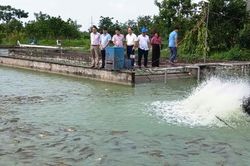 Ứng Thiên: Tập trung tháo gỡ 'điểm nghẽn', tăng tốc phát triển