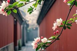 Ngày sinh Âm lịch của người có cuộc sống thuận lợi, dễ gặp người nâng đỡ