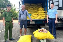 Lời khai chủ hàng gom hơn 1,7 tấn chân gà đựng trong 80 bao tải dứa