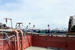 TPHCM: Bắt phương tiện khai th&aacute;c c&aacute;t tr&aacute;i ph&eacute;p khu vực biển Cần Giờ