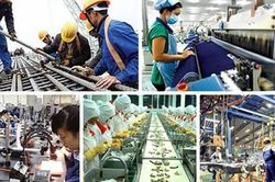 Triển khai thực hiện Kết luận số 62-KL/TW về nâng cao năng suất lao động quốc gia gắn với phát triển thị trường lao động
