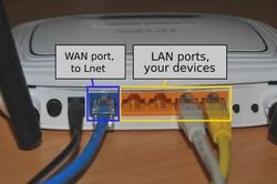 Cắm nhầm cổng router, mạng nhà bạn có thể chậm đi