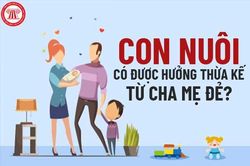 Rạch ròi hệ quả pháp lý trong nuôi con nuôi - không còn 'thỏa thuận tùy nghi'