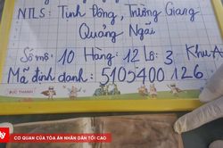 Tìm thấy chiếc ví da trong mộ liệt sĩ ở Quảng Ngãi