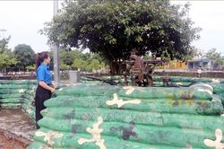 Lớp học lịch sử đặc biệt cho thế hệ trẻ