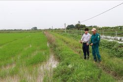 Nông dân 'nghĩ khác, làm khác', hình thành nhiều mô hình sản xuất hiệu quả