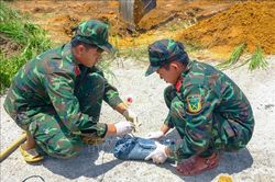 Tìm lại tên cho liệt sĩ - hành trình của trách nhiệm và lòng tri ân
